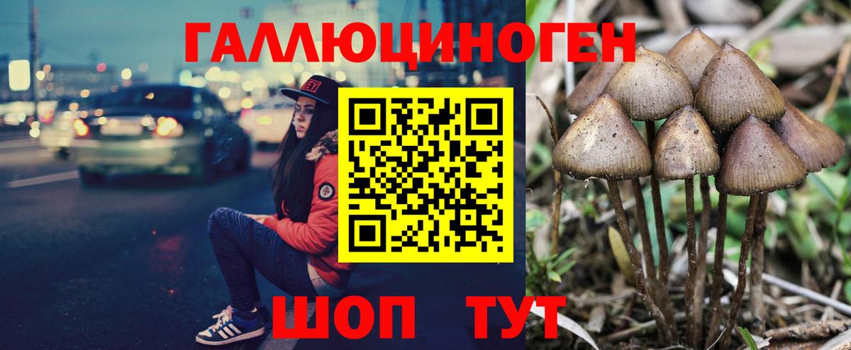 Галлюциногенные грибы мицелий  Вход с VPN  Спасск-Дальний  Псилоцибиновые грибы прущие грибы 